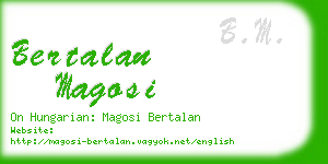 bertalan magosi business card